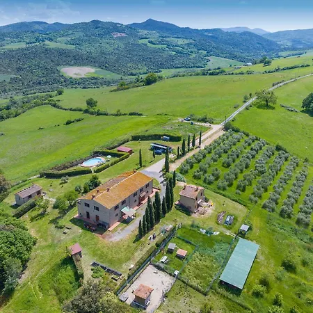 Santa Lina - Lavanda Pomarance
